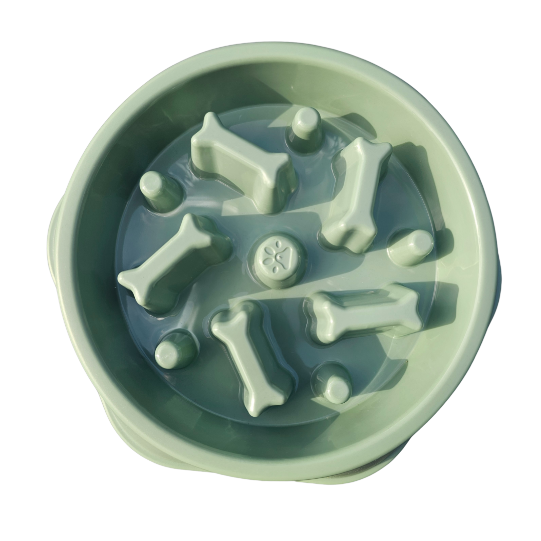 Slow Feeder Bowl - Green