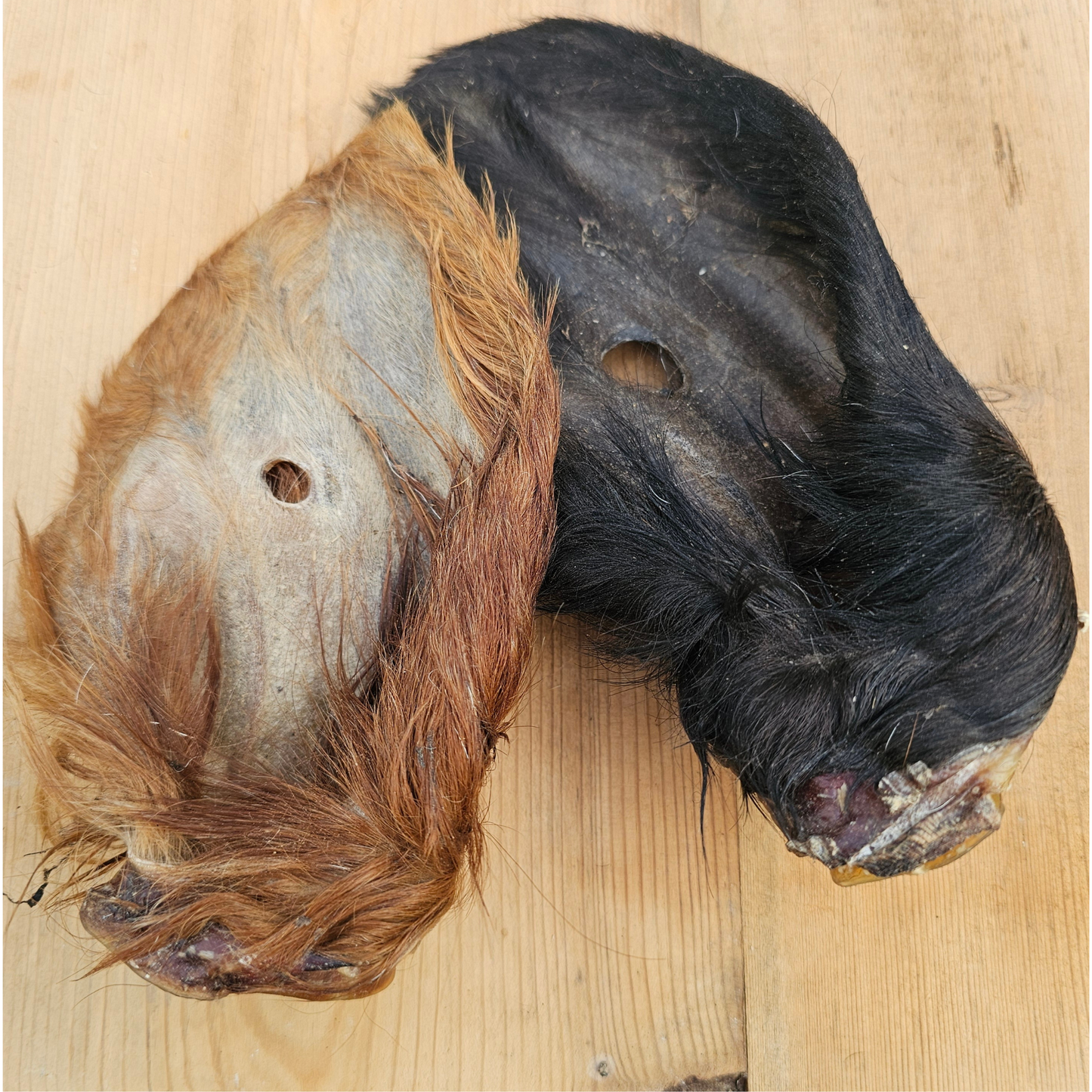 Beef Ear with Hair