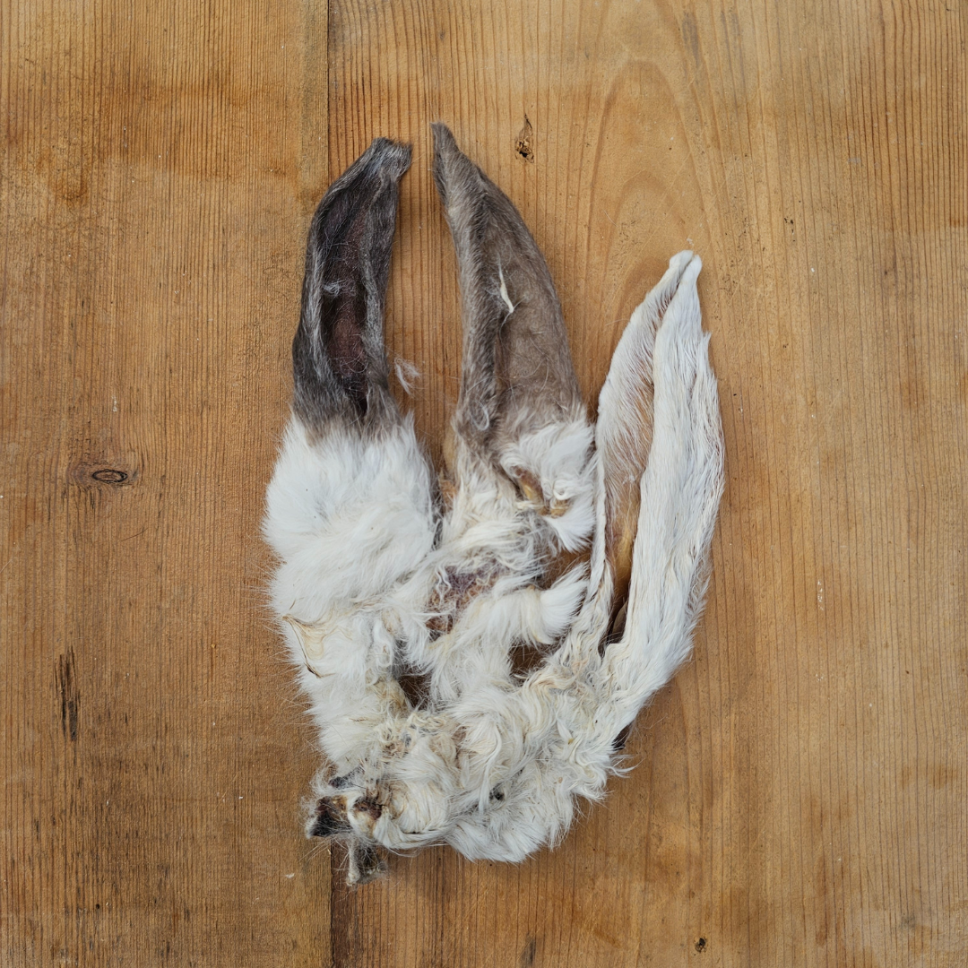 Rabbit Ears with Hair