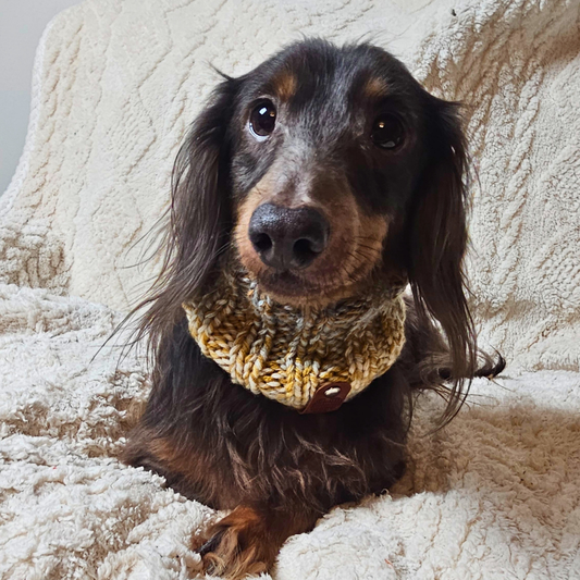 Welcome to Little Legs Designs & The Woofery