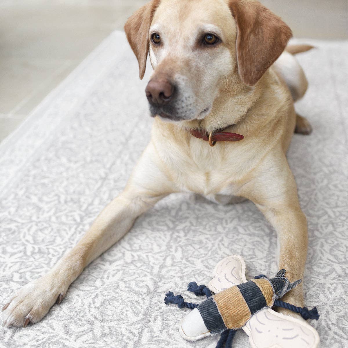 Bees Dog Toy