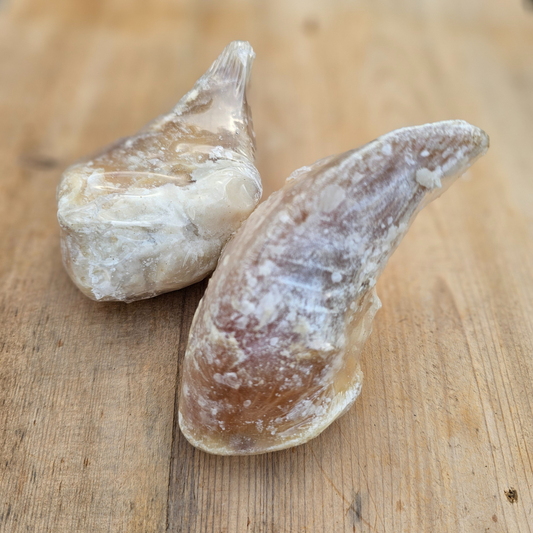 Beef Hooves Filled with Sheep Fat