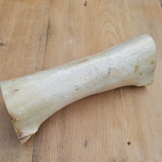 Buffalo Stuffed Bone