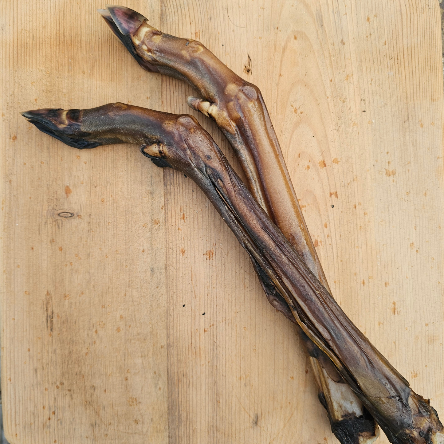 Deer Leg - No Fur - Small