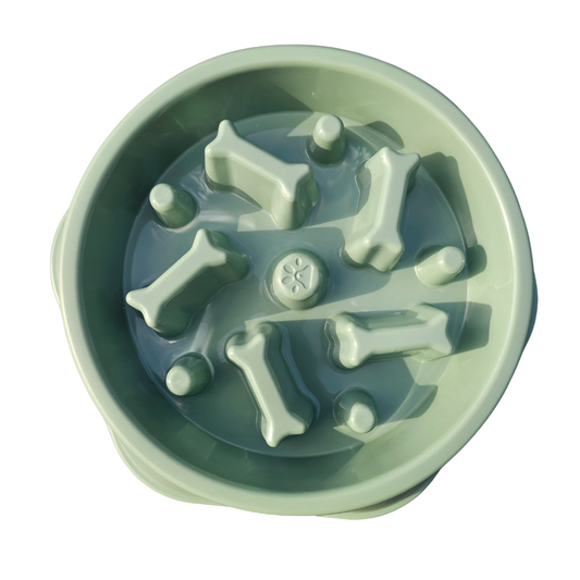 Slow Feeder Bowl - Green