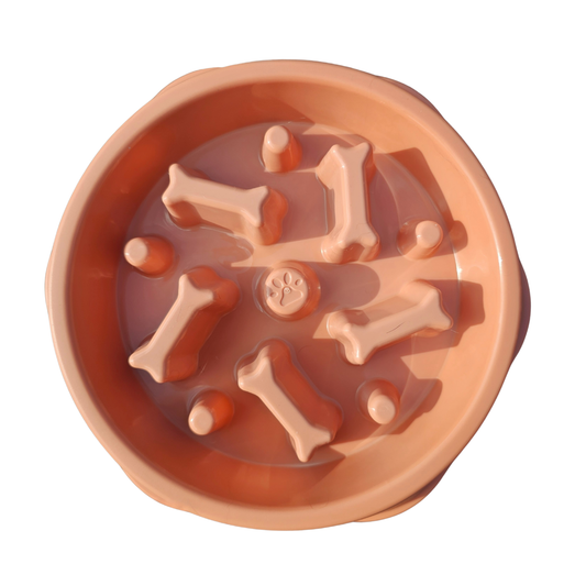 Slow Feeder Bowl - Coral