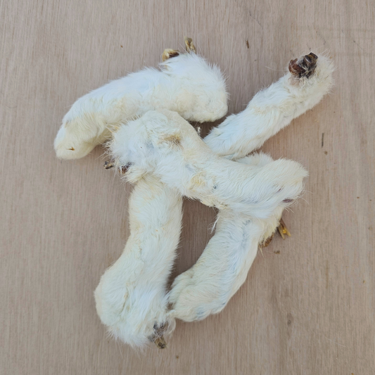 Hairy Rabbit Feet