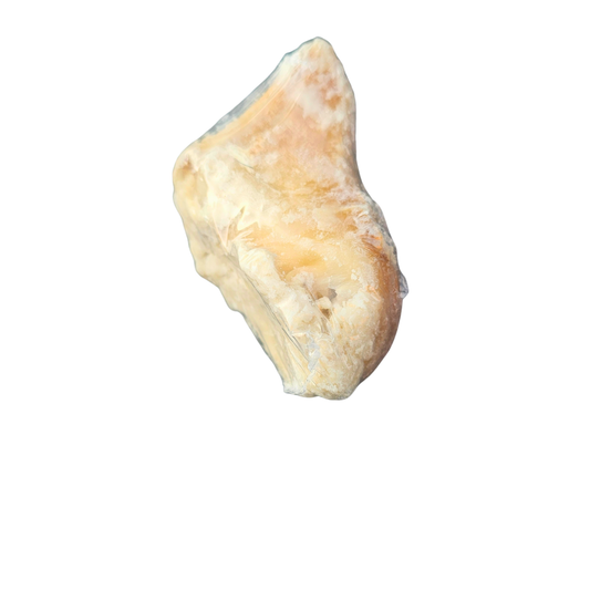 Beef Hooved Filled with Sheep Fat