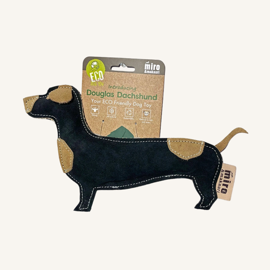 Douglas Dachshund - Miko & Makauri