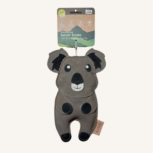 Kelvin Koala - Miko & Makauri