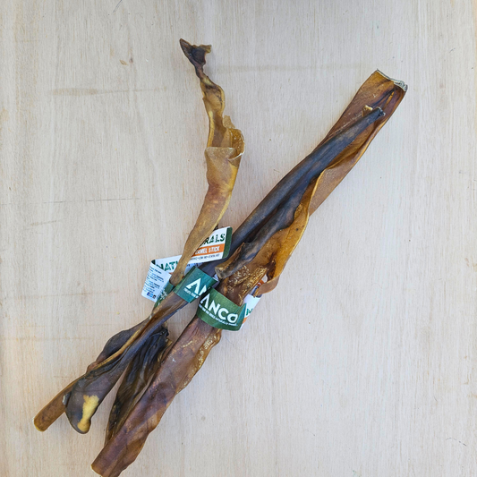 Giant Camel Stick – 100% Camel Skin