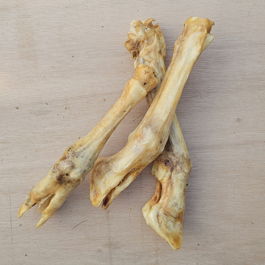 Lamb Trotters
