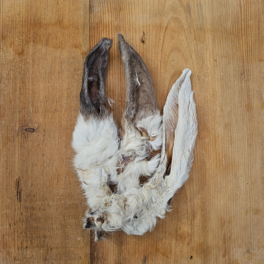 Rabbit Ears with Hair