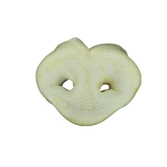 Puffed Pig Snout