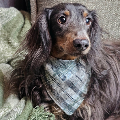 Dog Bandana - Penine Heights- Yorkshire tweed, check, plaid, tartan