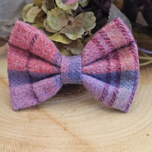 Dog Bow Tie – Bichon
