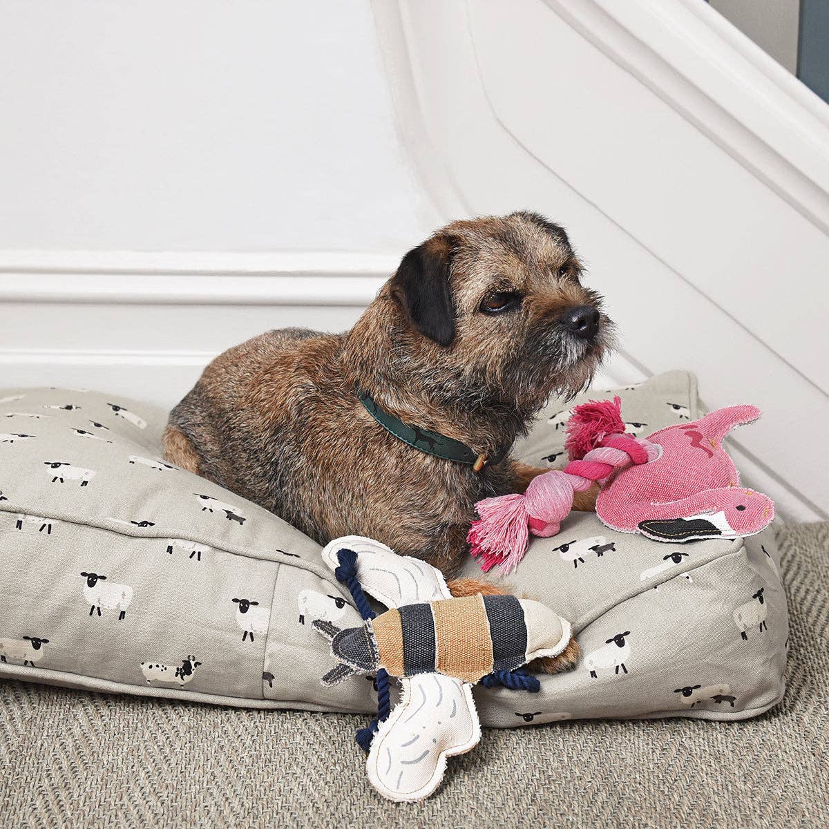 Bees Dog Toy