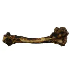 Deer Leg Bone