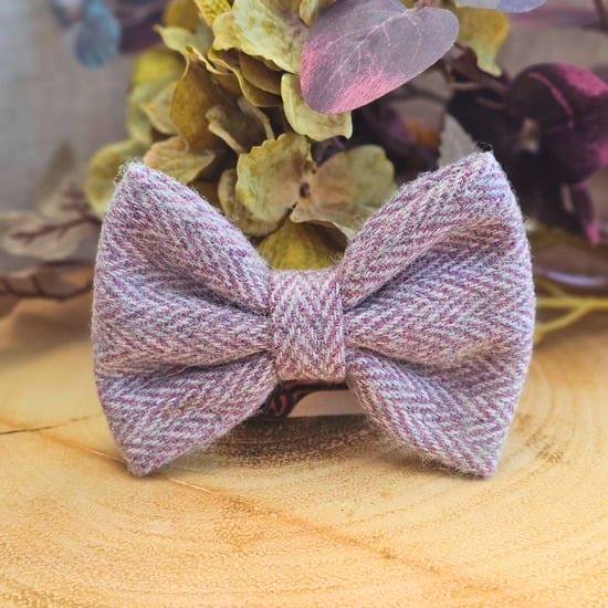 Dog Bow Tie -  'Frosted Grape'