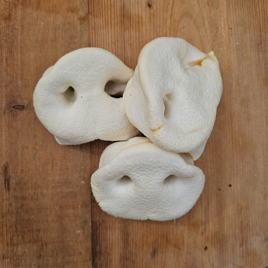 Puffed Pig Snout